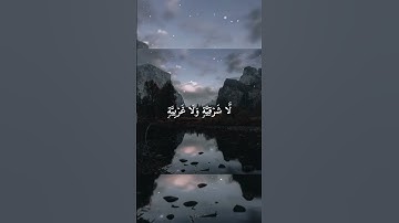 سورة النور🌸القران الكريم