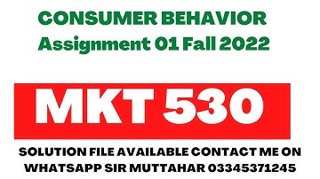 MKT 530 solution fall 2022