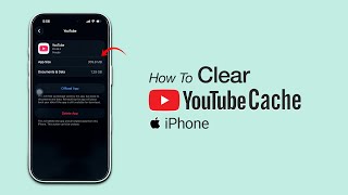 How To Clear Youtube Cache on iPhone?