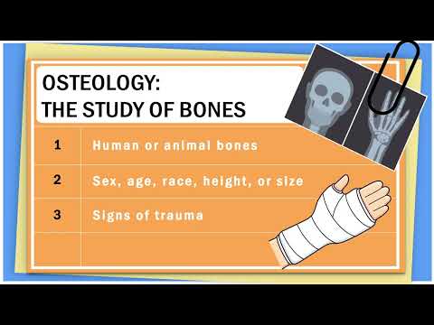 AIP Careers in Science: Chemical Anthropology