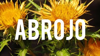 Plantas que curan: EL ABROJO (Tribulus terrestris): Propiedades Medicinales Poderosa Planta Herbal