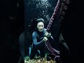 Octopus killed the survivors#shorts #octopus #kill #animals