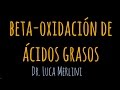Beta Oxidación de Ácidos Grasos