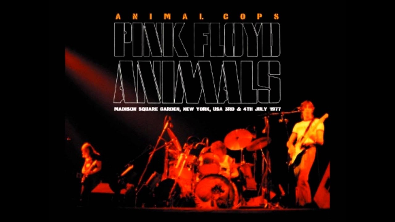 Pink Floyd － New York 1977 2nd Night (Sigma 125) | cinnamon の