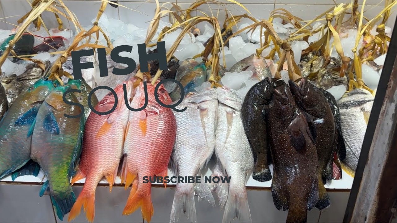 Fish and fruit market in medina Souq Khudra in medina Live fish