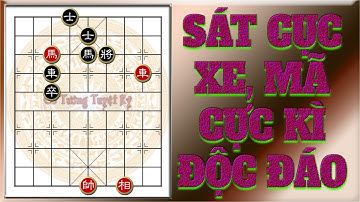 Cờ tàn thực chiến hay: Cách phối hợp Xe Mã cực kì hay trong tàn cuộc