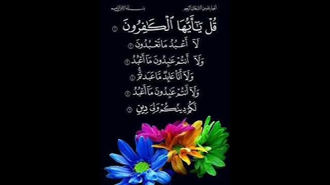 تلاوة سورة الكافرون - بصوت الشيخ فارس عباد 🤍