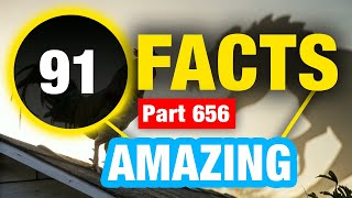 91 Incredibly Interesting Facts | Mind Blowing Facts You Didn’t Know
