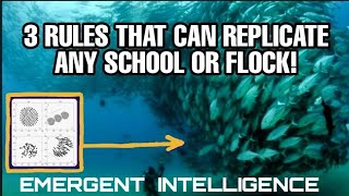 3 Laws of Physics That All Schools Of Fish  follow.