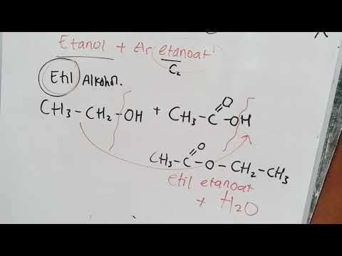 Video: Adakah ester larut dalam air?