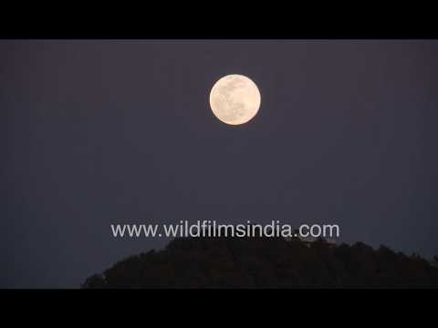 A glowing full moon rises over a dark forested hilltop, then fills the frame in a sharp close-up