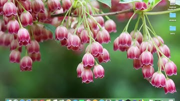 Tutorial Pemanfaatan File CSV dari Zipgrade