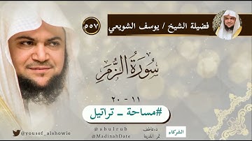 سورة الزمر ١١ - ٢٠