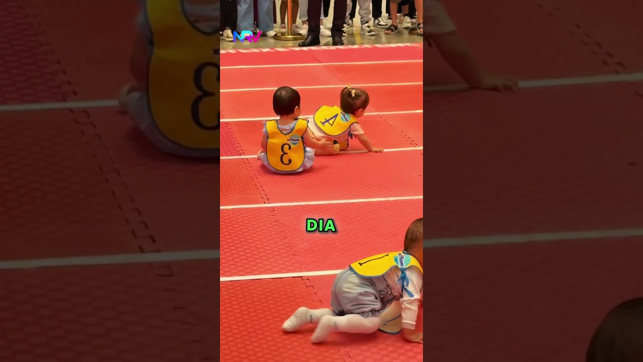 Balapan Dimulai, Drama Datang! 🏁👶