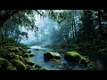 Deep Forest Water Sounds for Relaxation and Study | Peaceful River Ambience