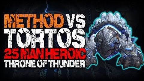 Method vs Tortos (25 Heroic)