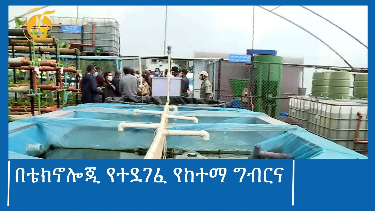 በቴክኖሎጂ የተደገፈ የከተማ ግብርና