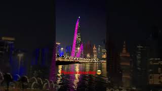 Qatar Nights | travel qatar india nepal 2023 2024 animals adventure night love video