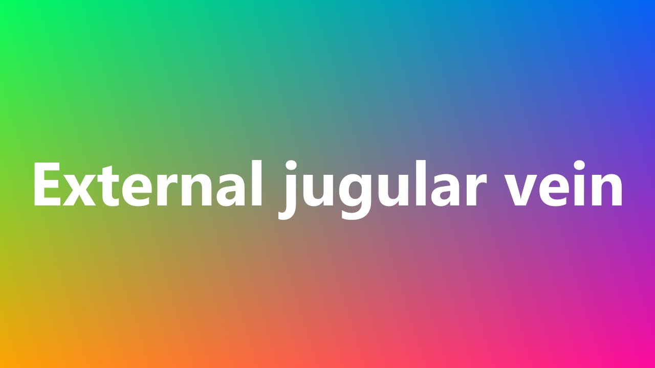 External jugular vein Medical Definition and Pronunciation YouTube
