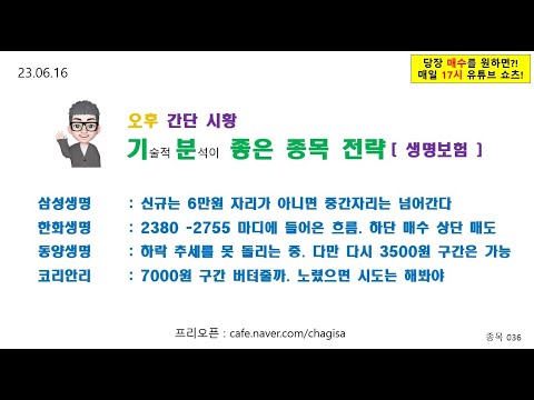 [오후종목전략] 삼성생명 한화생명 <strong>동양생명</strong> 코리안리 생명보험 주가 매매 전략 230616