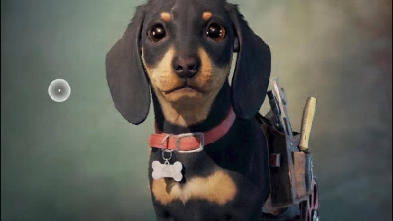 Chorizo Quest Far Cry 6 YouTube chorizo-quest-far-cry-6-youtube