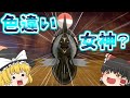 【ポケモン剣盾】色違いのカプ・レヒレはルアーボールかダイブボールで欲しぃわね…【ゆっくり実況】