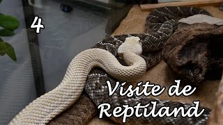 [Vlog 4] Corrèze | Visite de Reptiland !