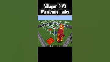 Villager vs Wandering Trader IQ Test #minecraft #memes