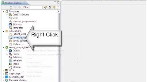 servoy_activateSolution.mp4