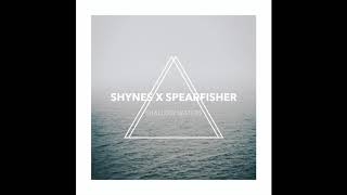 Michael Shynes & SPEARFISHER // Shallow Waters (Official Audio)