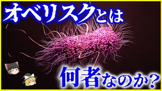 【ゆっくり解説】人間から発見された謎の新生物「オベリスク」とは何者なのか？を解説/ ウイルスでもバクテリアでもない⁉️カギを握るのは「ウイロイド」