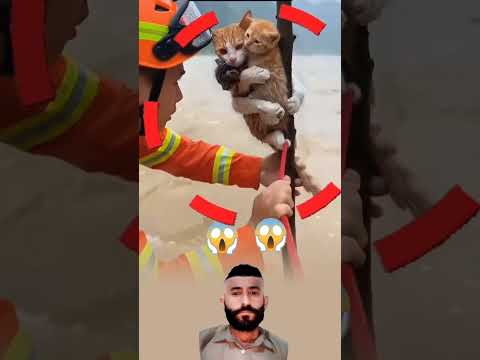 أم لا تعرف المستحيل وسط الماء والخطر تمسكت بصغارها لتنقذهم مهما كان الثمن Youtubeshorts 