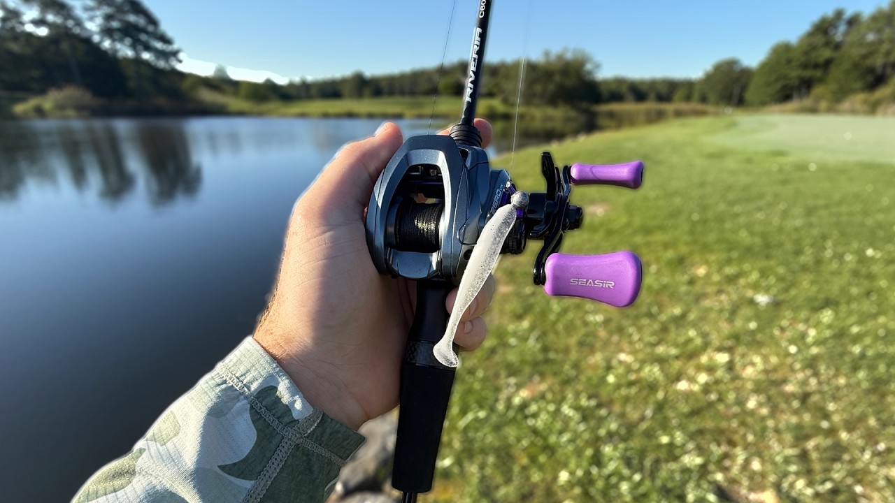 Nonstop BFS Bass Bite • BFS FISHING