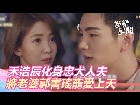 未來媽媽／閃瞎單身狗！禾浩辰變忠犬人夫　將老婆郭書瑤寵愛上天｜三立新聞網 SETN.com