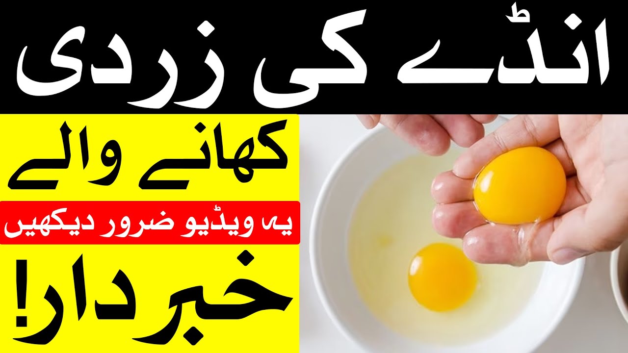 Andy Ki Zardi Khane Wale Khabrdar Andy ki zardi k faidy Egg yolk