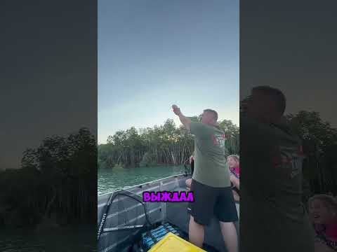 Мужчина Помог Орлу С Уловом #shorts #tiktok #тренд #рыбалка #природа #орёл #озеро #река #люди #лодка