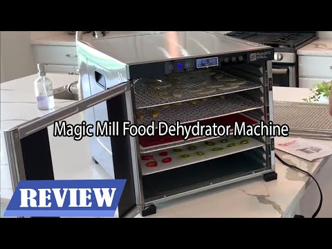 Magic Mill Food Dehydrator Machine Review Great dehydrator 2024