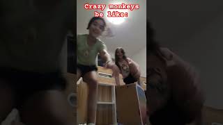 pov: when ur a crazy monkey