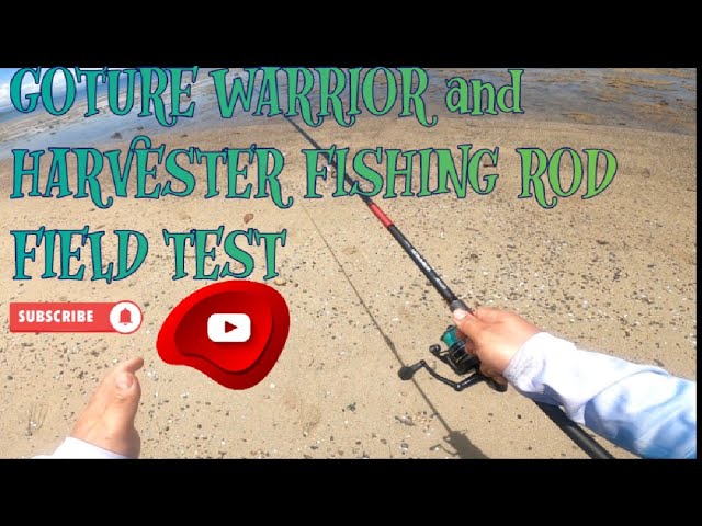 Baby Shark Catches and released.. Field test my New Fishing Rod