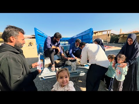 The Peren Family On The Farm Shirvan S Efforts To Treat And Keep The Young Dog Alive