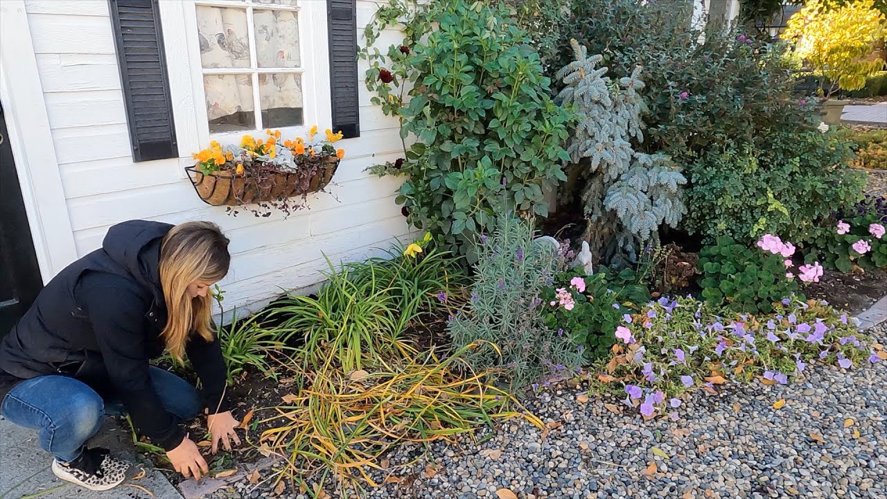 Chicken Coop Flower Bed Maintenance Pruning, Transplanting & Fall