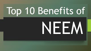 Top 10 Health Benefits of Neem - Amazing Benefits of Neem Tree