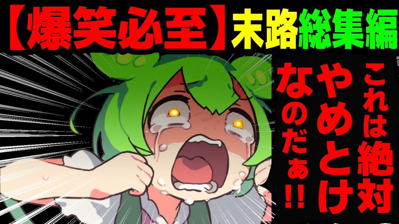 良い子は絶対真似するな！ずんだもんがやらかしまくる総集編！【ずんだもん&ゆっくり解説】