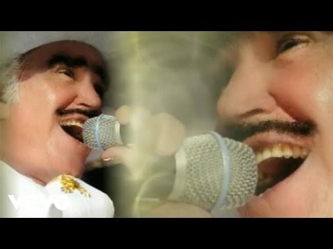 Vicente Fernández - Con Una Copa De Vino (Audio)