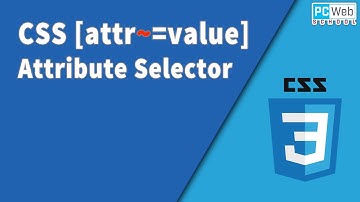 CSS [attr~=value] selector