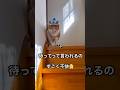 前回の動画のつづき🐈お散歩行くにゃ🐈✨　#cat #ねこ #もんちゃん #ハンギョドン #猫の帽子 #手作り帽子 #猫の散歩 #重量級
