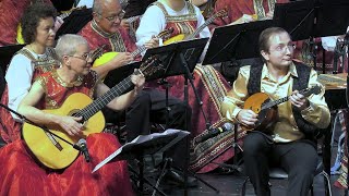 &quot;Flamenco&quot; Musalliance &amp; Folk Orchestra