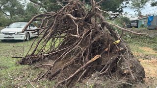 Cleanup underway after tornado touches down in Walton County