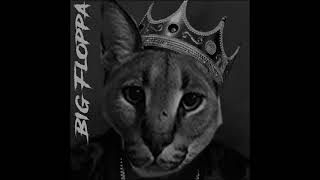 Big Floppa - Big Floppa