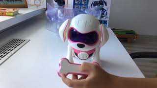 Огляд ROBOT DOG “ ROCK” аналог TEKSTA Лучшие видео с игрушками КАПУКИ КАНУКИ 🔴 LIVE Огляд ROBOT DOG “ ROCK” аналог TEKSTA Лучшие видео с игрушками КАПУКИ КАНУКИ 🔴 LIVE